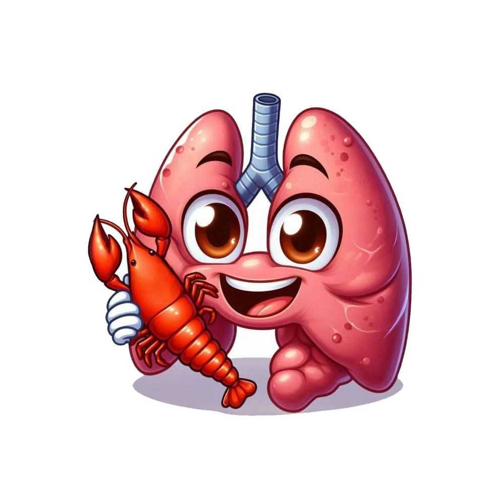 Мнемоническая картинка к слову LUNG — Легкое